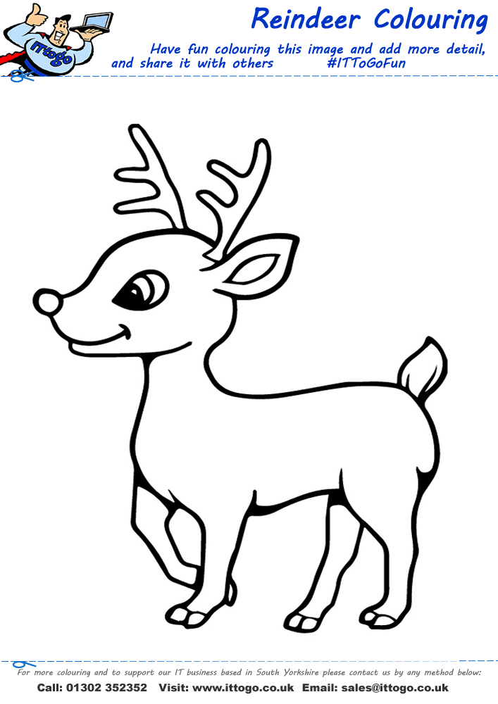 Reindeer Colouring